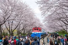 Une fête en République de Corée. Photo: KTO