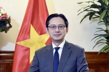 Le vice-ministre des Affaires étrangères Do Hung Viet. Photo: baochi