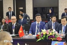 Une délégation de l'Assemblée nationale du Vietnam, conduite par son vice-président Vu Hong Thanh, a participé à la réunion préparatoire de l'Interface des dirigeants ASEAN-AIPA 2025 (Interface ASEAN-AIPA), qui s'est tenue le 25 mai à Kuala Lumpur, en Malaisie. Photo : VNA.
