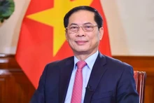 Le vice-Premier ministre Bui Thanh Son. Photo : VNA.