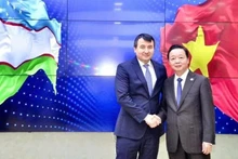 Le vice-Premier ministre vietnamien Tran Hong Ha (droite) et son homologue ouzbek, Jamshid Khodjaev. Photo : VNA.