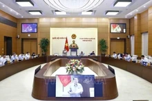 Panorama d'une réunion du Comité permanent de l'AN. Photo : VNA.