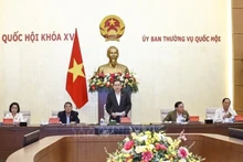 Le président de l’AN, Trân Thanh Mân (debout), s'exprime lors de la réunion. Photo : VNA.
