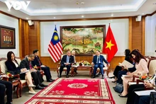 Séance de travail entre les représentants du ministère de la Culture, des Sports et du Tourisme du Vietnam et du ministère du Tourisme, des Arts et de la Culture de Malaisie le 14 avril. Photo : VOV