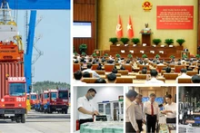 Plan d’action du gouvernement pour le développement de l’économie privée au Vietnam