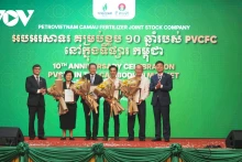 Le Cambodge, un marché clé pour les exportations d'engrais du Vietnam