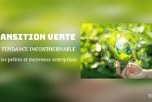 PME : la transition verte, une voie incontournable