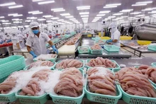 Transformation des produits aquatiques pour l'exportation. Photo : Congthuong.