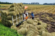 L’agriculture circulaire est une solution efficace pour réduire les coûts et accroître la rentabilité. Photo: VGP.