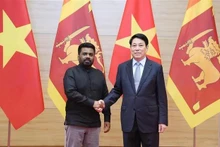 Le président vietnamien Luong Cuong (droite) et son homologue sri-lankais Anura Kumara Disanayaka. Photo : VNA.
