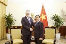 Le vice-Premier ministre et ministre des Affaires étrangères, Bui Thanh Son (droite) et Daniel Kritenbrink, membre du conseil d'administration du groupe Asia, ancien assistant du secrétaire d'État américain et ancien ambassadeur des États-Unis au Vietnam. Photo : Baoquocte.