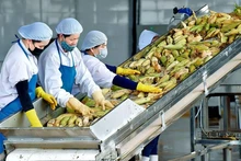 Transformation des produits agricoles. Photo: VTV.