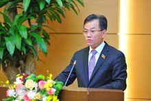 Dôn Tuân Phong, chef de la délégation du Vietnam, prend la parole lors de la conférence. Photo : VNA.