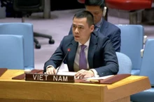 L’ambassadeur Dang Hoàng Giang, chef de la Mission permanente du Vietnam auprès des Nations Unies. Photo : VNA.
