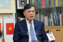 L'ambassadeur Mai Phuoc Dung lors de l'interview avec l'Agence vietnamienne d'information (VNA). Photo : VNA.
