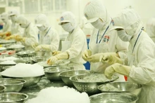 Transformation de crevettes pour l'exportation. Photo: nhandan.vn 