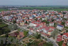 Cette année, Hanoï s'efforce de faire en sorte que 100% de ses districts et cité municipale répondent aux normes de la Nouvelle Ruralité. Photo : VNA.