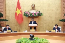 Le Premier ministre Pham Minh Chinh (debout) prend la parole. Photo : VNA.