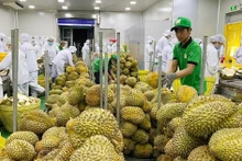 La Chine a augmenté ses importations de riz, de légumes, de fruits et de noix de cajou en provenance du Vietnam. Photo: baodautu