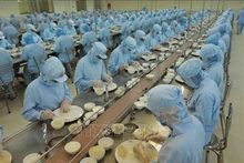 Après la première expédition d'Avanest, Savinest Khanh Hoa compte également exporter des produits de nids de salanganes vers le marché chinois le 24 novembre. Photo : VNA.