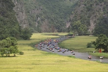 À Tam Côc, dans la province de Ninh Binh. Photo d'illustration: VNA