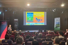 Projection du film "Je vois des fleurs jaunes sur l'herbe verte". Photo : VNA