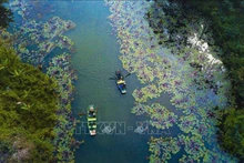 La beauté sauvage de Thung Nang à Ninh Binh. Photo : VNA.
