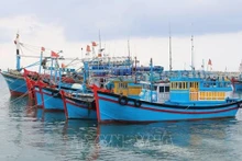 Des navires au port de My Tan, district de Ninh Hai, province de Ninh Thuan. Photo: VNA