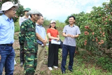 Bac Giang se concentrera sur l'amélioration de la qualité et de l'efficacité des tâches scientifiques et technologiques au service de son développement socio-économique. Photo : journal Bac Giang