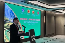 Trân Quôc Toan, directeur adjoint de l’Agence du Commerce extérieure du ministère vietnamien de l’Industrie et du Commerce. Photo : VNA. 