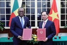 Le ministre vietnamien des Affaires étrangères, Bùi Thanh Son (à droite) avec son homologue béninois, Olushegun Adjadi Bakari, à Hanoi, le 14 décembre. Photo : VNA. 
