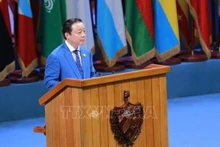 Le vice-Premier ministre Tran Hong Ha prend la parole lors de la séance de débat. Photo : VNA