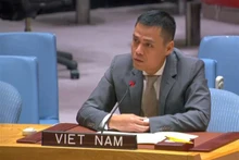 L'ambassadeur Dang Hoàng Giang, chef de la Mission permanente du Vietnam auprès de l’ONU, s'exprime lors du débat public. Photo : VNA.