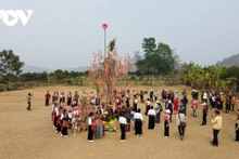 La fête de la prière pour la pluie des Thais blancs a lieu autour du cay van vat. Photo: VOV