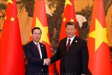 Le Président vietnamien, Vo Van Thuong (à gauche) et le Secrétaire général et Président chinois, Xi Jinping, se serrent la main lors d’une entrevue le 20 octobre 2023 à Pékin. Photo : VNA.