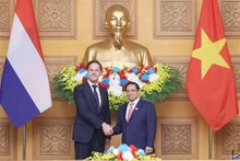 Le Premier ministre Pham Minh Chinh (à droite) et son homologue néerlandais Mark Rutte. Photo : VNA.