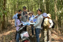 Une délégation sud-coréenne étudie la restauration et la gestion durable des forêts à Long An. Photo: baolongan