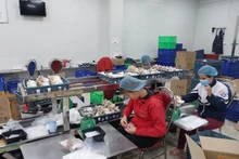 L’entreprise Phùng Gia et la production des champignons Photo : VOV.
