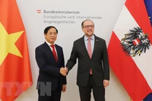 Le ministre vietnamien des Affaires étrangères, Bùi Thanh Son (à gauche) et son homologue autrichien, Alexander Schallenberg. Photo d'archives : VNA.