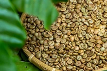 Au cours des 5 premiers mois de 2023, les exportations de café ont dépassé deux milliards de dollars. Photo: congthuong.vn