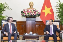 Le ministre des Affaires étrangères Bui Thanh Son (droite) reçoit l'ambassadeur Giorgio Aliberti, chef de la délégation de l'UE au Vietnam. Photo: VNA