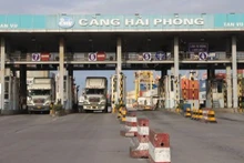 Au port Tân Vu. Photo: VOV