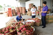 Photo d'illustration: baocongthuong