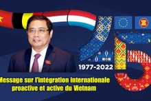 Message sur l'intégration internationale proactive et active du Vietnam