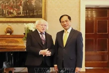 Le ministre des Affaires étrangères Bui Thanh Son (à droite) et le président Michael D. Higgins au palais présidentiel irlandais le 28 février 2024. Photo : VNA.