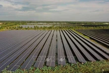 Centrale solaire Europlast Long An, commune de My Thanh Bac, district de Duc Hue, province de Long An. Photo d'archives : VNA.