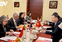 L’ambassadeur Duong Hoai Nam préside la 27e session du Comité ASEAN à Prague. Photo: VOV