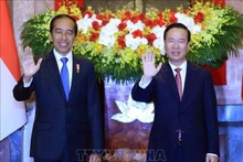 Le Président Vo Van Thuong (à droite) et son homologue indonésien, Joko Widodo. Photo : VNA.