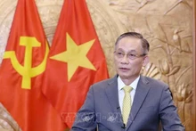 Le président de la Commission des relations extérieures du Comité central du PCV Lê Hoài Trung. Photo: VNA