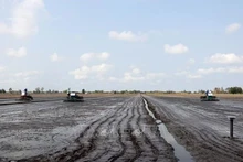 Culture à titre expérimental de 50 premiers hectares de production de riz de haute qualité à faibles émissions à Can Tho. Photo: VNA